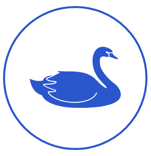 black-swan-semiotic